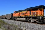 BNSF 6012 Roster shot